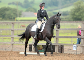 In-House Clinics at Caistor Equestrian Centre
