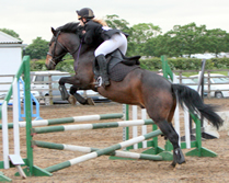 In-house Dressane Clinics at Caistor Equestrian Centre