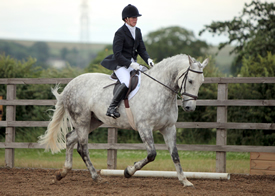 Dressage 'Ride-A-Test' Clinics at Caistor Equestrian Centre