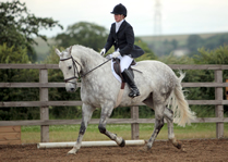 In-house Dressane Clinics at Caistor Equestrian Centre