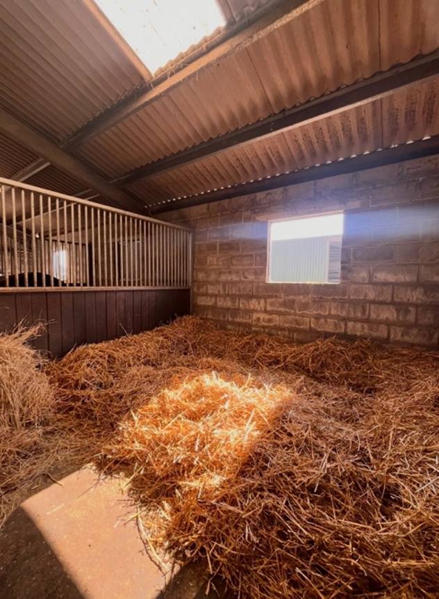 Caistor Equestrian Center Livery Solutions