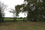 Caistor Equestrian Centre