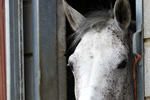 Caistor Equestrian Centre