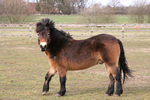Caistor Equestrian Centre